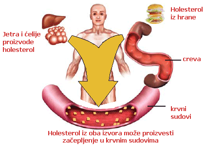 holesterol-namirnice